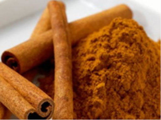 Cinnamon bark extract 10:1