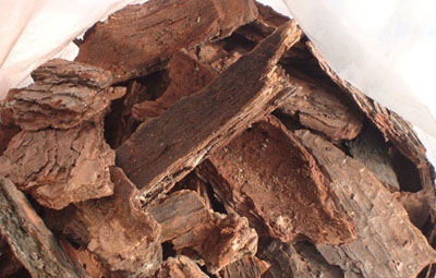 Pine Bark Extract 95% OPC