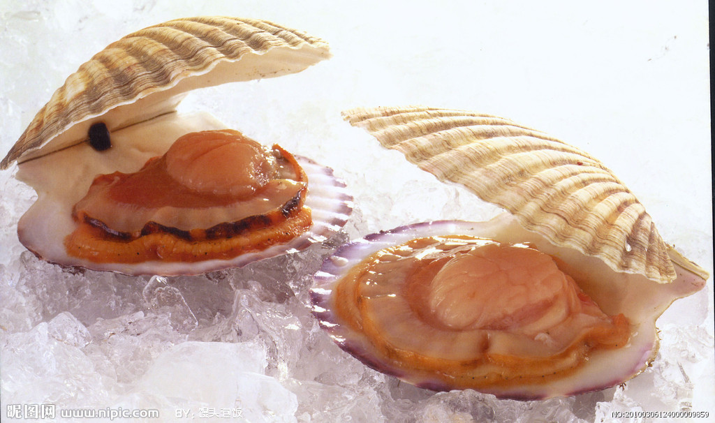 Scallop flavor