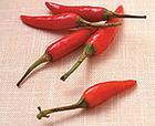 Paprika E150